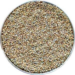 Bajra / Sajjalu / Pearl Millet, 100g