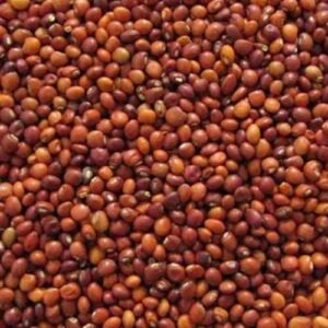 Kandullu / Red Gram, 500g