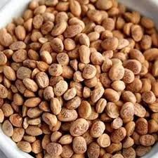 Charoli (Chironji) - ₹2000/Kg
